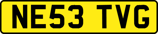NE53TVG
