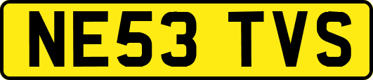 NE53TVS