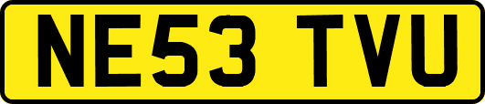 NE53TVU