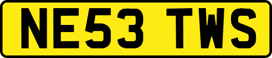NE53TWS