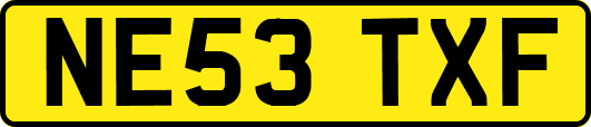 NE53TXF