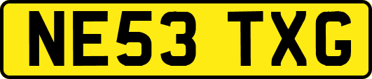 NE53TXG