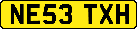 NE53TXH