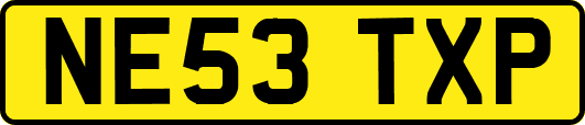 NE53TXP