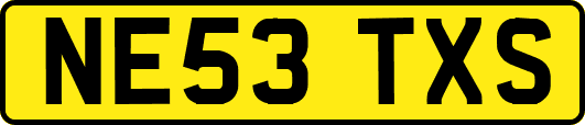NE53TXS
