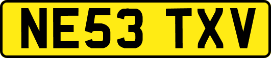 NE53TXV