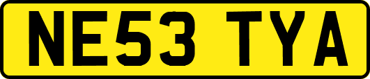 NE53TYA