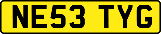 NE53TYG