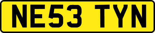 NE53TYN