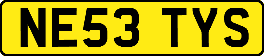 NE53TYS