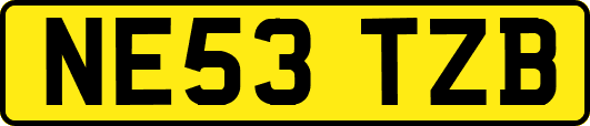 NE53TZB