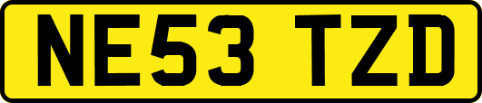 NE53TZD