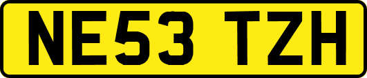 NE53TZH