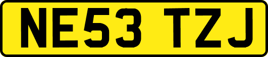 NE53TZJ