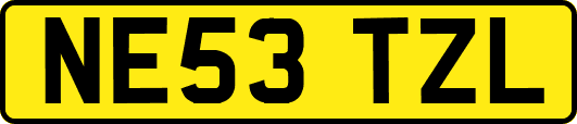 NE53TZL