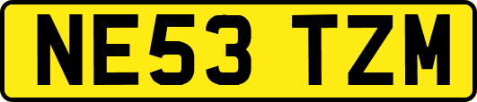 NE53TZM