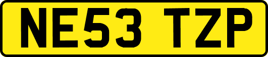 NE53TZP