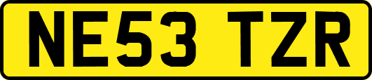 NE53TZR