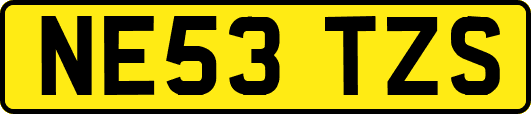 NE53TZS