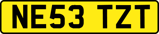 NE53TZT