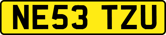 NE53TZU