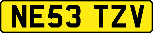 NE53TZV