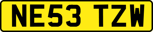 NE53TZW
