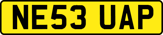 NE53UAP