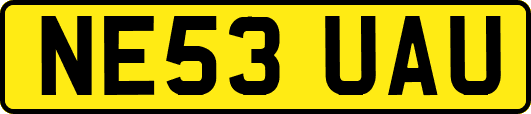 NE53UAU