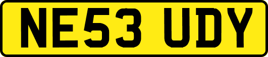 NE53UDY