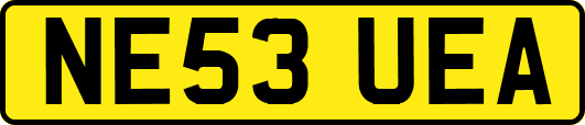 NE53UEA