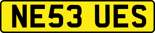 NE53UES