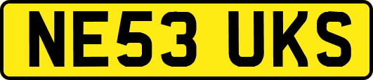 NE53UKS