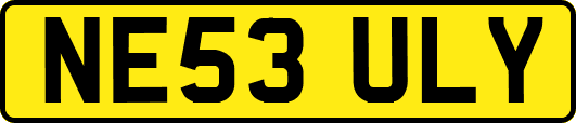 NE53ULY