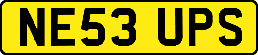 NE53UPS
