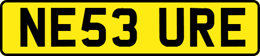 NE53URE
