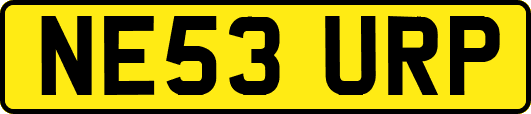 NE53URP