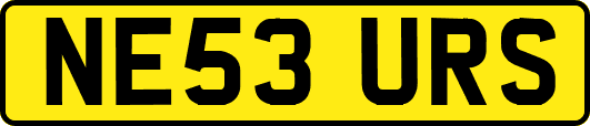 NE53URS