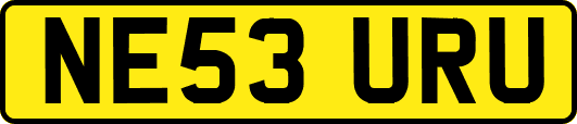 NE53URU