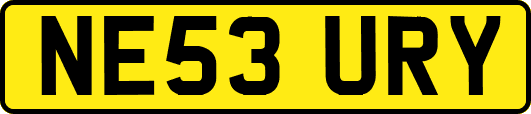 NE53URY