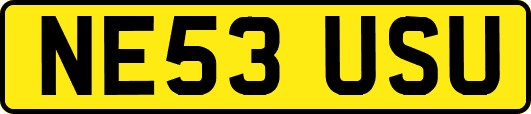 NE53USU
