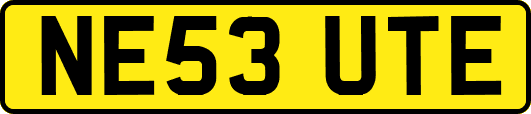 NE53UTE