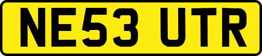 NE53UTR