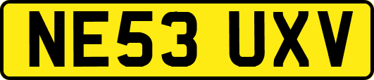 NE53UXV