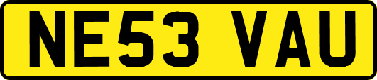 NE53VAU