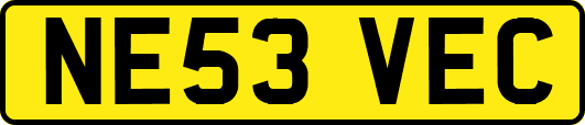 NE53VEC