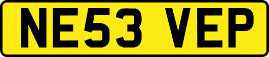 NE53VEP