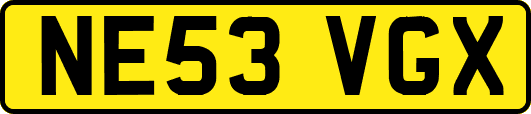 NE53VGX