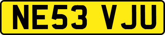 NE53VJU