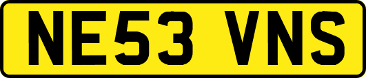 NE53VNS